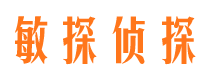 雁峰市侦探公司